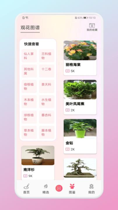 养花宝app手机版下载,养花宝,花朵app